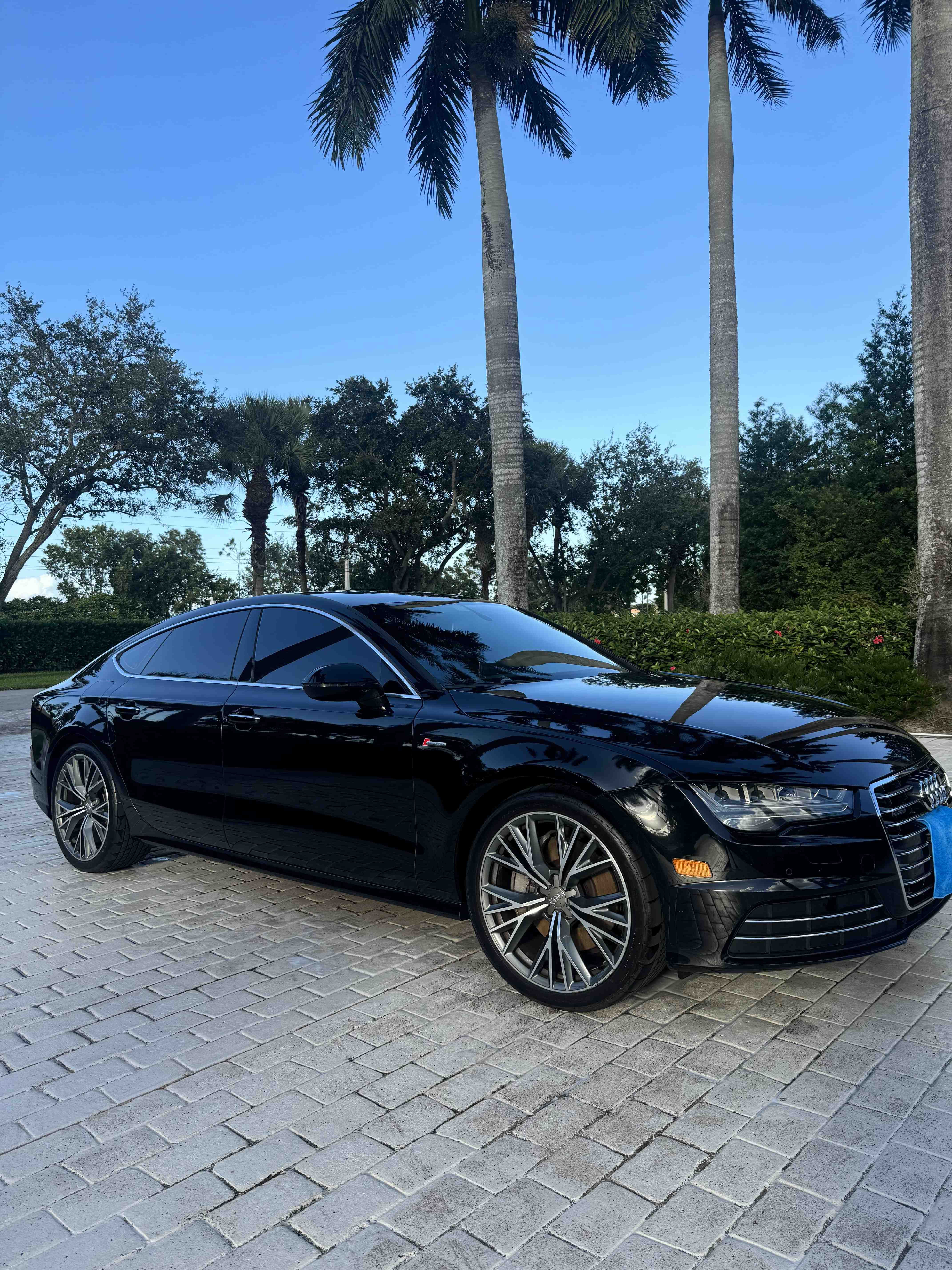 Black Audi A7 with a mirror finish under palm trees